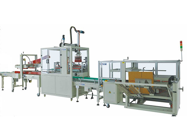 Automatic Carton Case Bottle Can Packing Machine